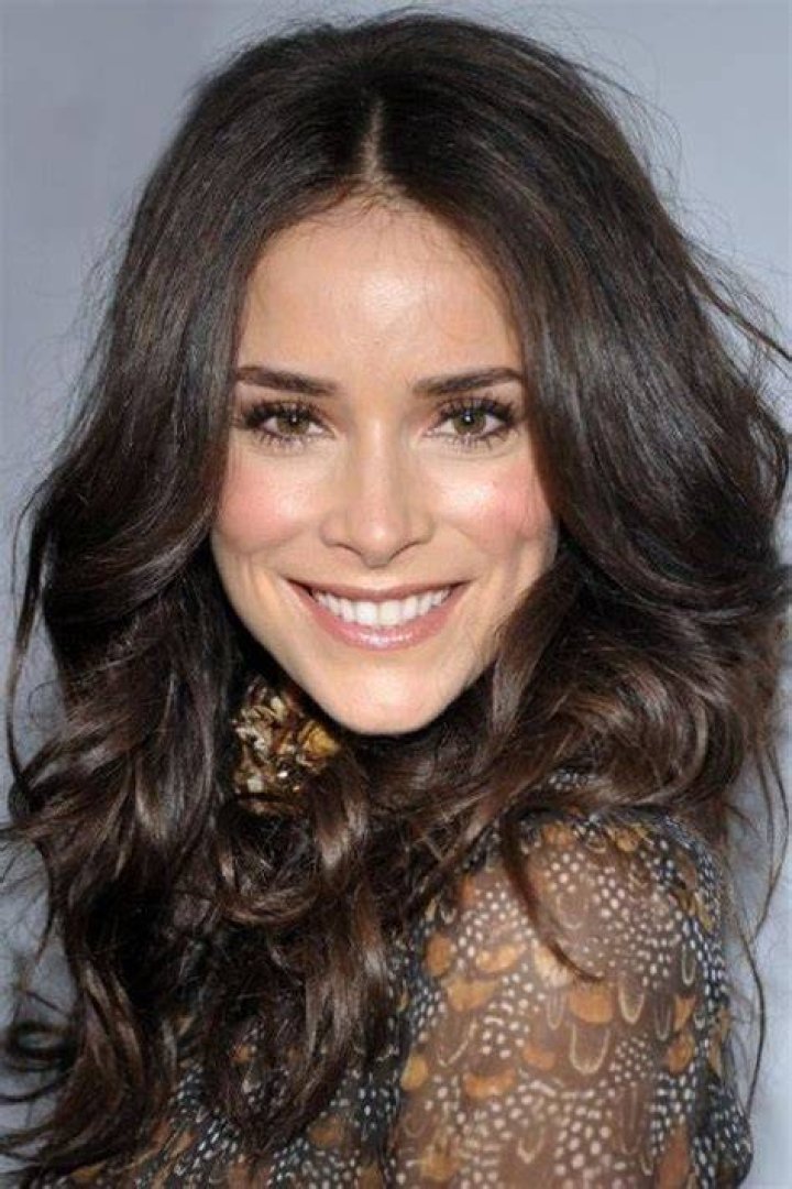 Abigail Spencer Nudes: Debunking Myths and Exploring the Career of a Talented Actress
