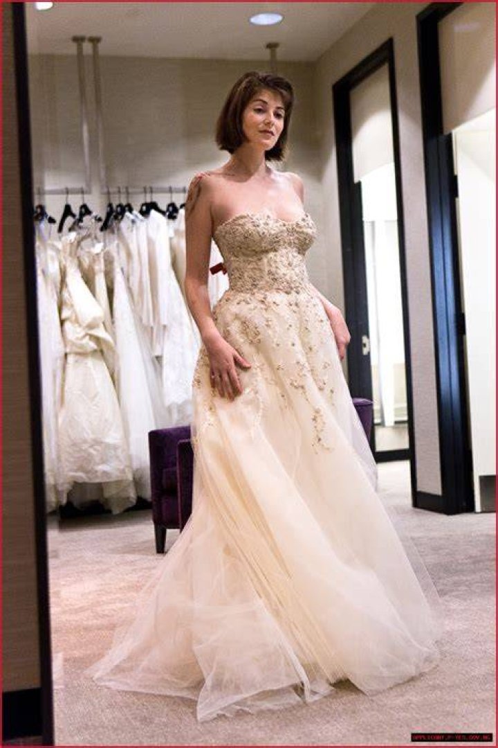 Ari Melber Wedding Pictures: A Closer Look at the Special Day