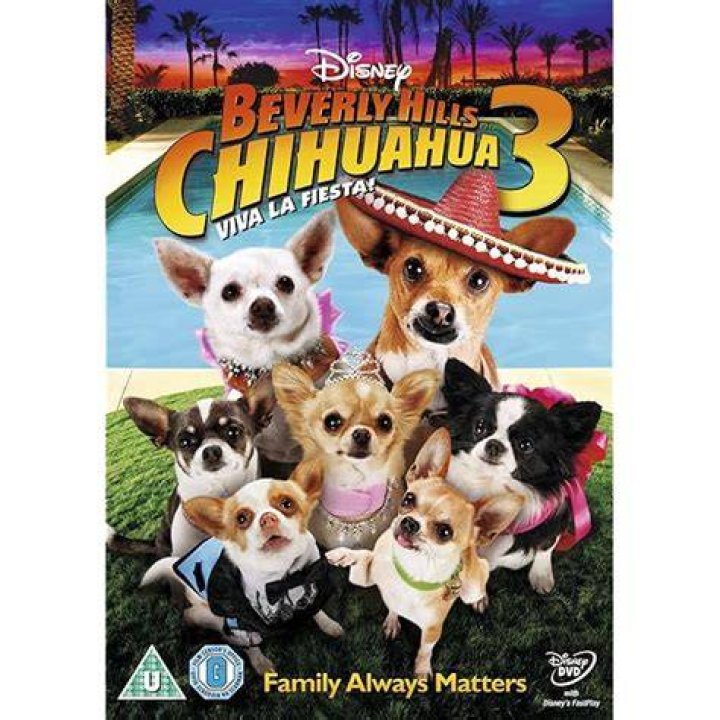 Beverly Hills Chihuahua 4 Release Date: Everything You Need to Know