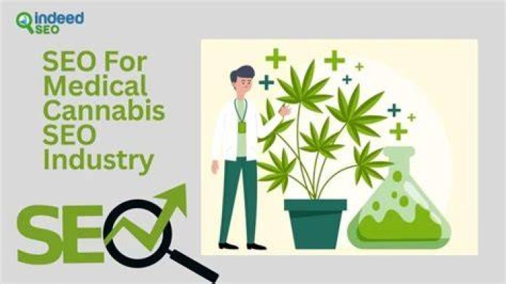 Cannabis SEO Agencies: The Key to Unlocking Growth in the Cannabis Industry