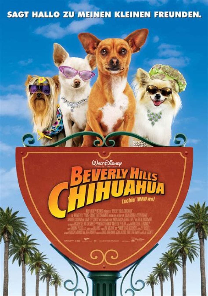 Is There a Beverly Hills Chihuahua 4? Unveiling the Mystery of the Franchise