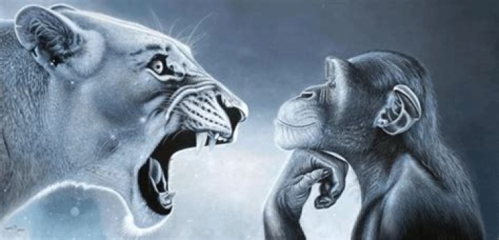 Tiger Yelling at Chimp: Understanding the Rare Encounter and Its Implications