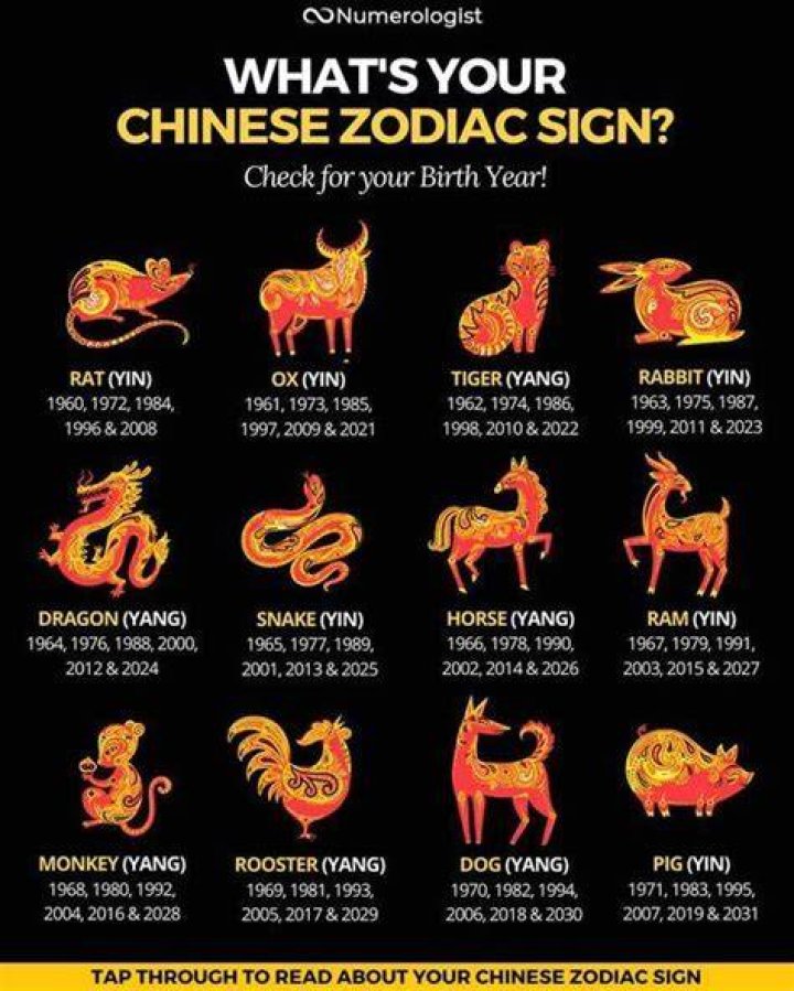 Understanding the 1991 Zodiac Element: Insights and Influence
