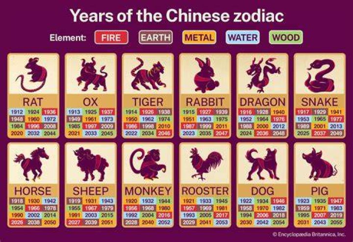 Unveiling the Mysteries of Chinese Zodiac Signs 1991: Insights and Meanings