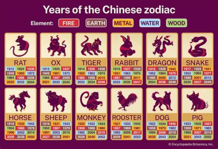 Unveiling the Mysteries of the 1991 Year of Chinese Zodiac: Insights and Meanings