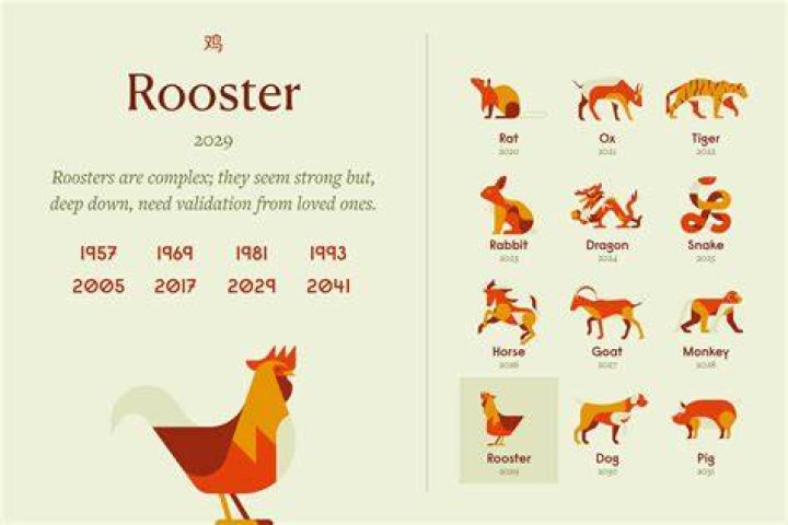 What Was the Chinese Year in 1991? Discover the Secrets of the Rooster Zodiac