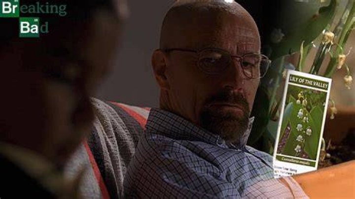 Why Did Walter White Poison Brock? Unveiling the Dark Truth